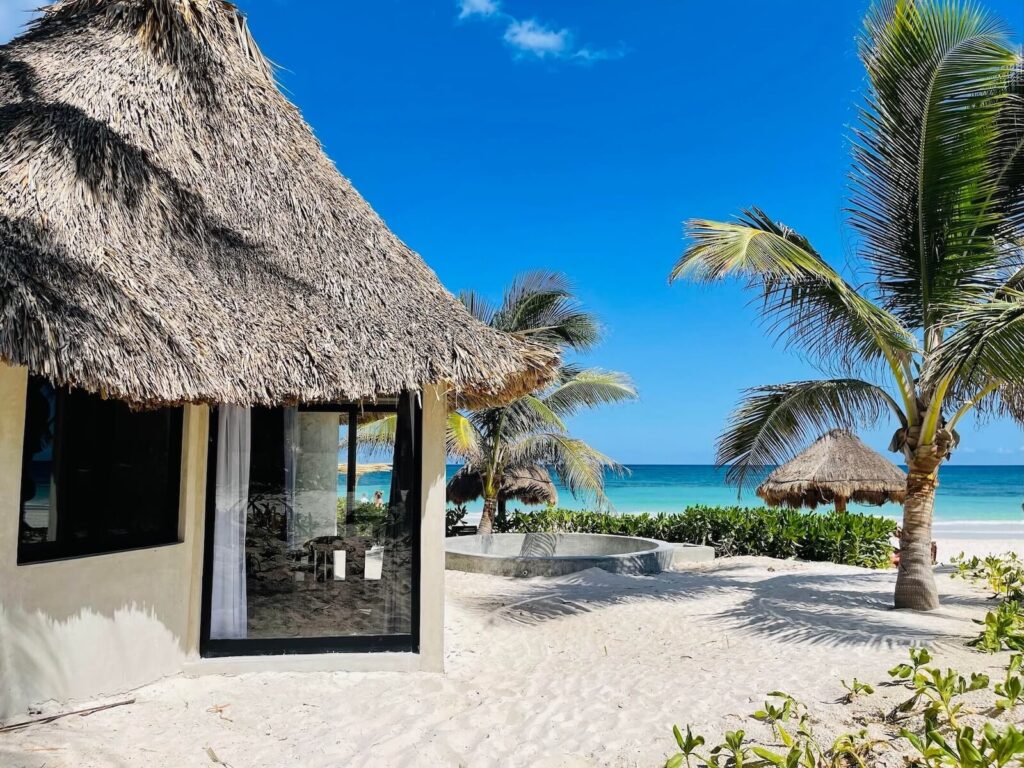 Maya Tulum Sacred Heart Sonora Bufo Alvarius