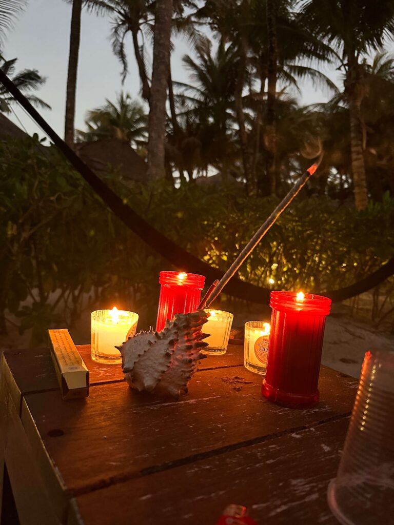 Sacred Heart Sonora | Bufo Alvarius Tulum | Retreats