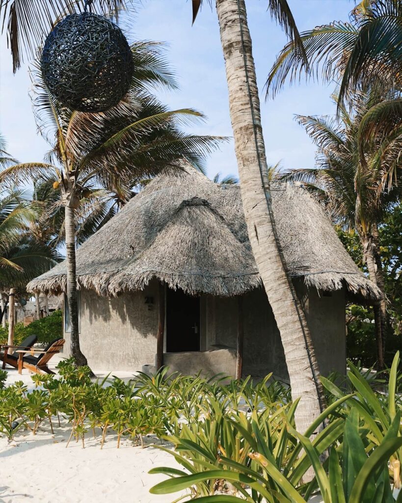 Sacred Heart Sonora | Bufo Alvarius Tulum | Retreats