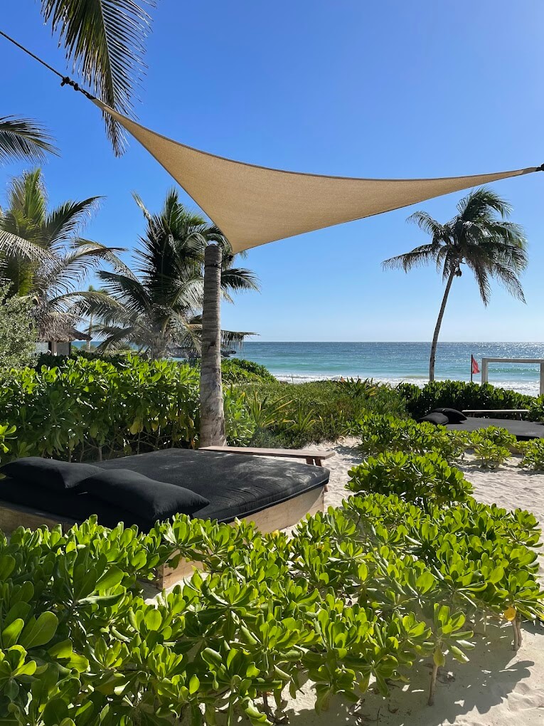 Sacred Heart Tulum Bufo Alvarius Maya Tulum